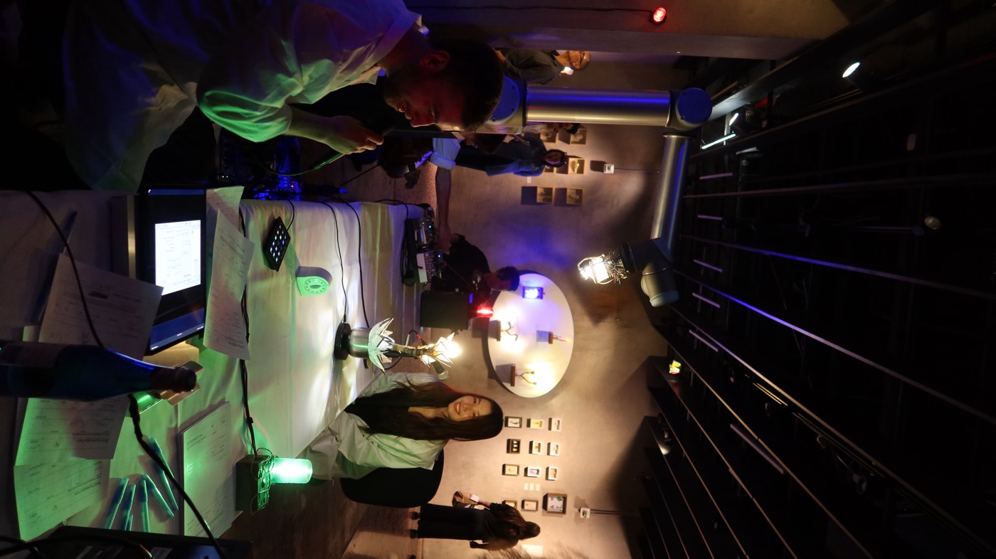 Gallery wide shot with visitors and art