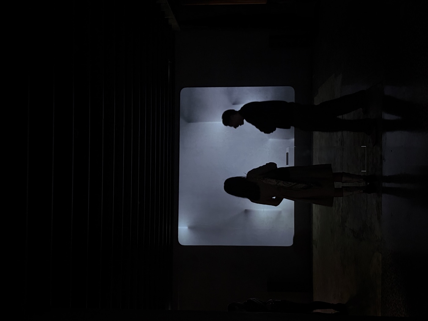Silhouettes viewing projection in dark room